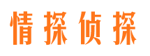 子洲市侦探公司